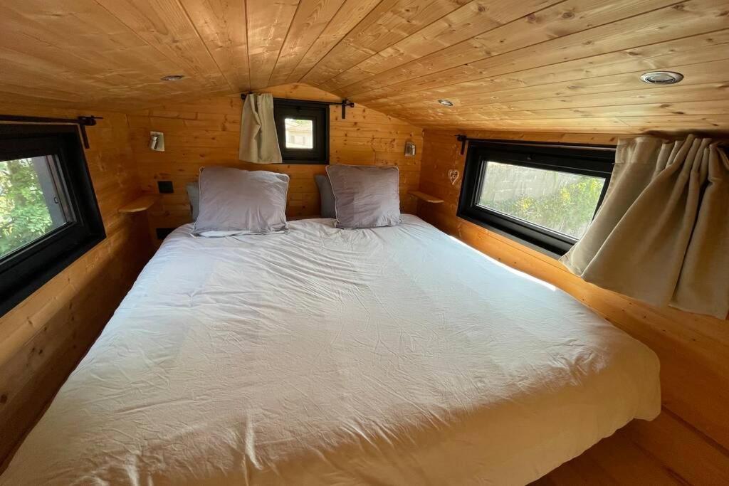 Myinsolite - Tiny-House, Jacuzzi, Brasero, Piscine Aigues-Mortes Bagian luar foto