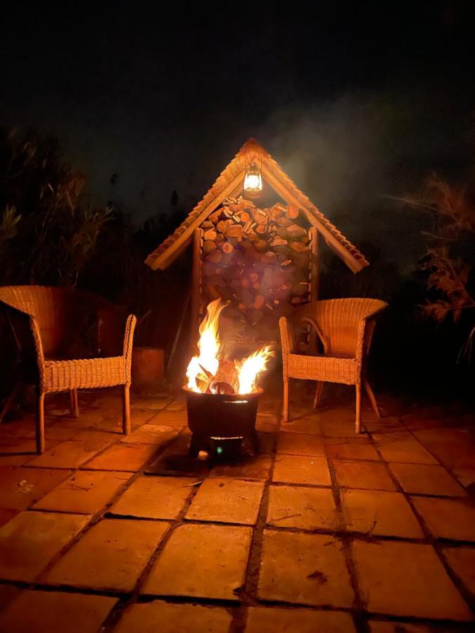 Myinsolite - Tiny-House, Jacuzzi, Brasero, Piscine Aigues-Mortes Bagian luar foto