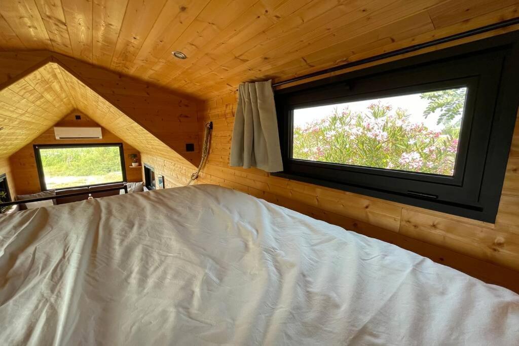 Myinsolite - Tiny-House, Jacuzzi, Brasero, Piscine Aigues-Mortes Bagian luar foto