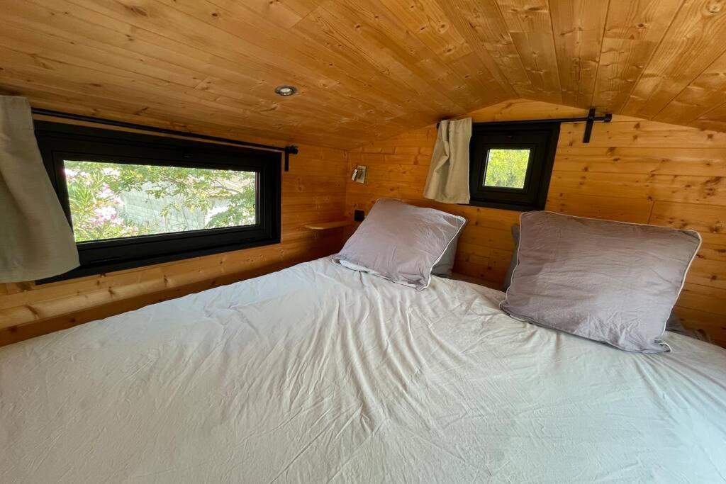 Myinsolite - Tiny-House, Jacuzzi, Brasero, Piscine Aigues-Mortes Bagian luar foto