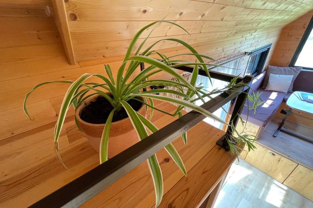 Myinsolite - Tiny-House, Jacuzzi, Brasero, Piscine Aigues-Mortes Bagian luar foto