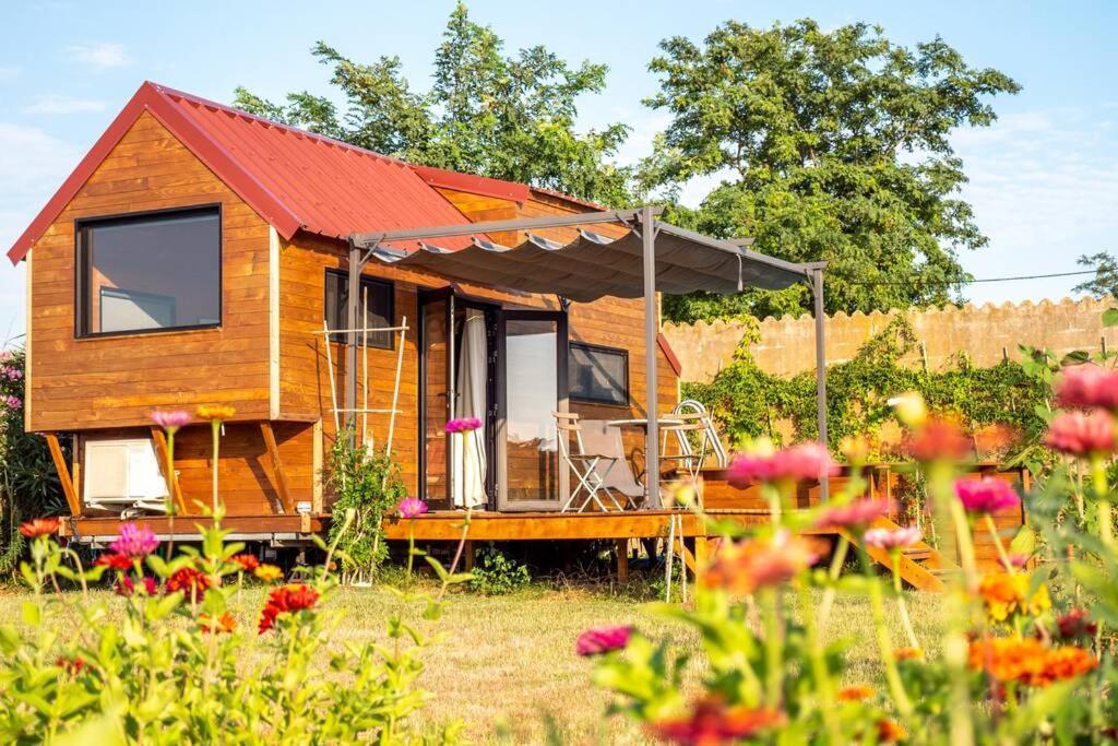 Myinsolite - Tiny-House, Jacuzzi, Brasero, Piscine Aigues-Mortes Bagian luar foto