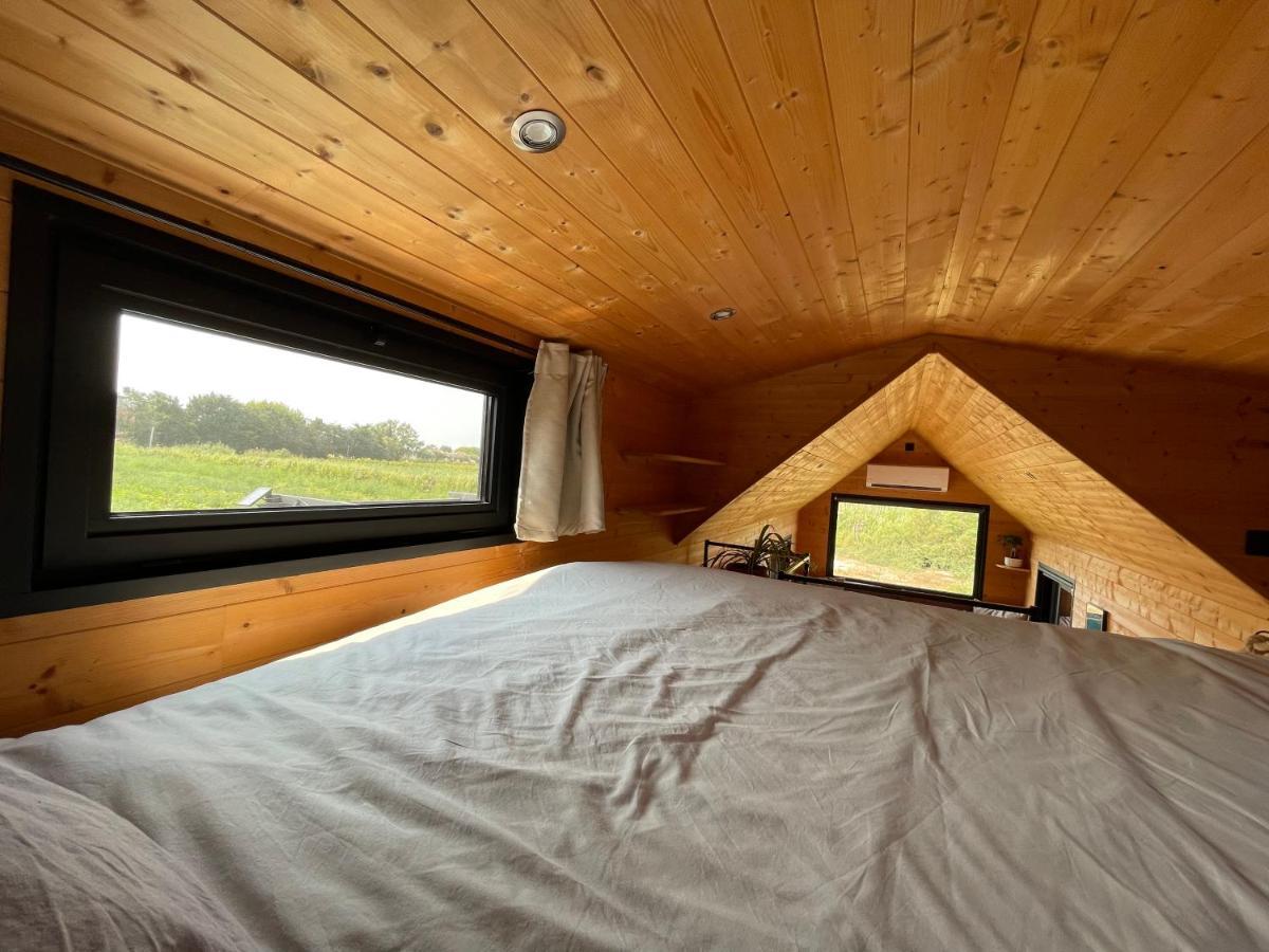 Myinsolite - Tiny-House, Jacuzzi, Brasero, Piscine Aigues-Mortes Bagian luar foto